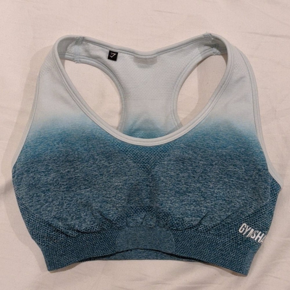 Gymshark ombre seamless sports bra